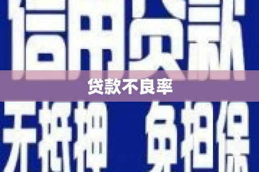 鹰潭贷款不良率