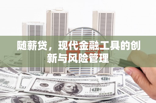 鹰潭随薪贷，现代金融工具的创新与风险管理