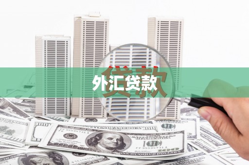 鹰潭外汇贷款