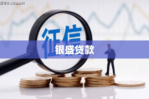 鹰潭银盛贷款
