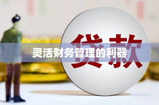 鹰潭灵活财务管理的利器