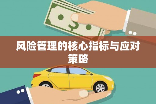 鹰潭风险管理的核心指标与应对策略