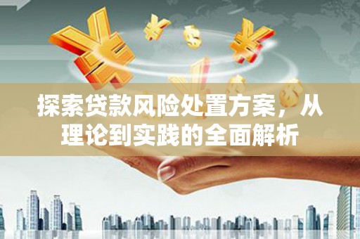 鹰潭探索贷款风险处置方案，从理论到实践的全面解析