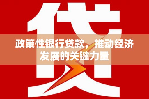 鹰潭政策性银行贷款，推动经济发展的关键力量