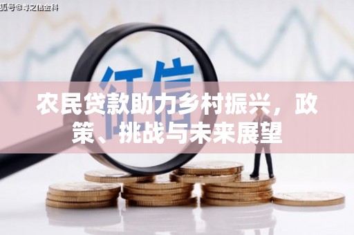 鹰潭农民贷款助力乡村振兴，政策、挑战与未来展望