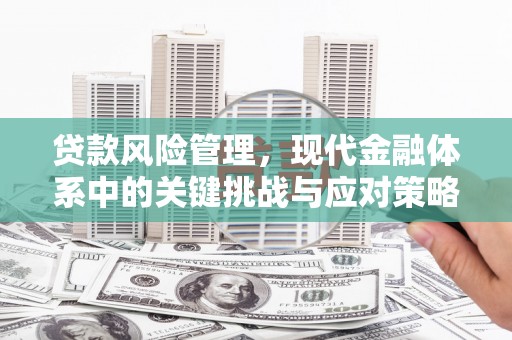 鹰潭贷款风险管理，现代金融体系中的关键挑战与应对策略
